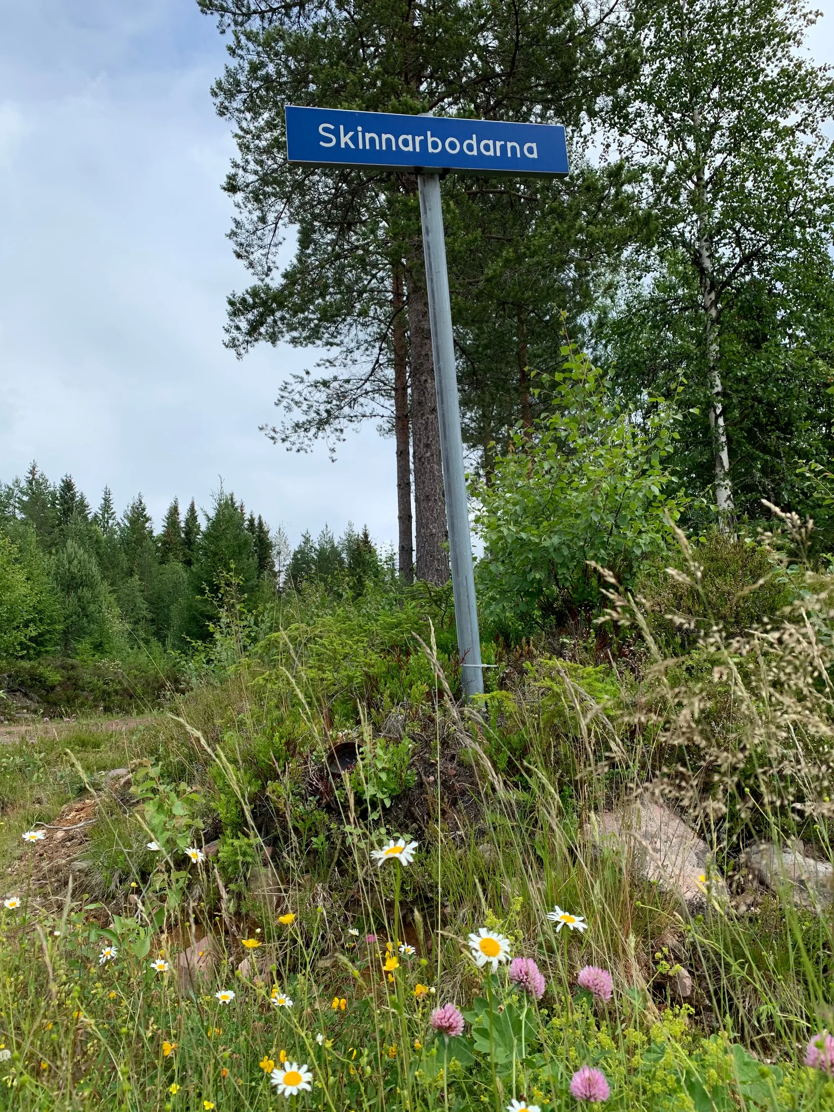 Fritidshus, Skinnarbodarna 17, Skinnarbodarna, Älvdalen
