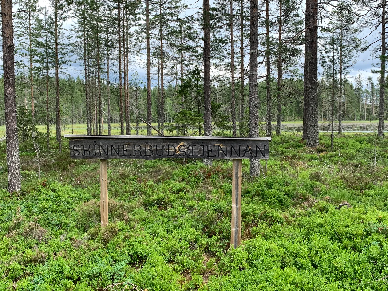 Fritidshus, Skinnarbodarna 17, Skinnarbodarna, Älvdalen