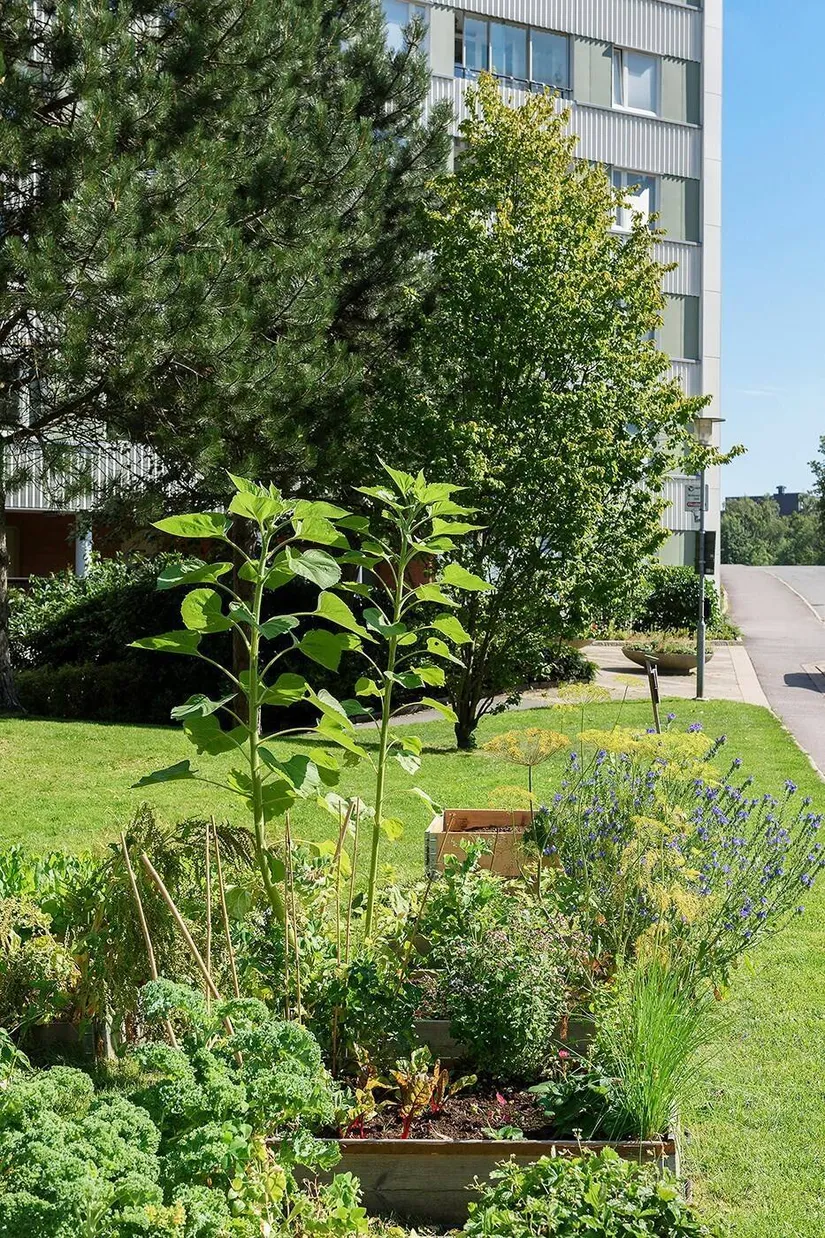 Bostadsrätt, Doktor Forselius gata 12, Guldheden, Göteborg