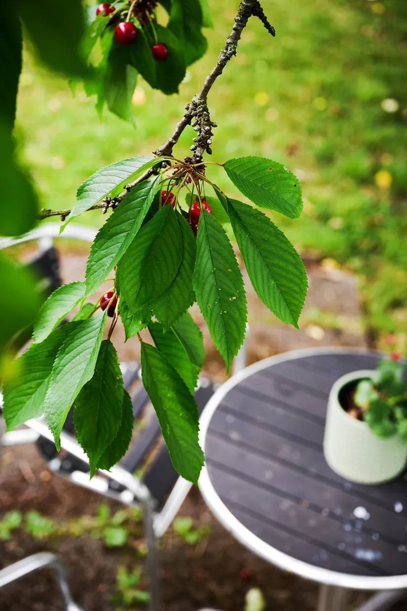 Bostadsrätt, Göteborgsvägen 113, Sävedalen, Partille