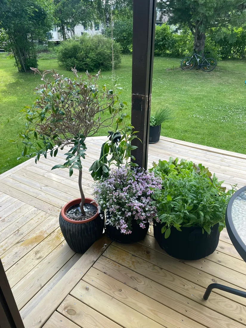 Villa, Åkervägen 1, Bjurholm