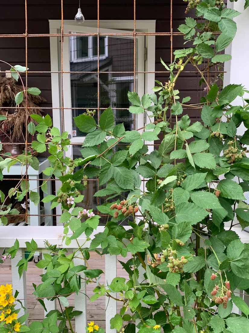 Bostadsrätt, De la gardies väg 11, Gustavsberg Farsta Slottsvik, Värmdö