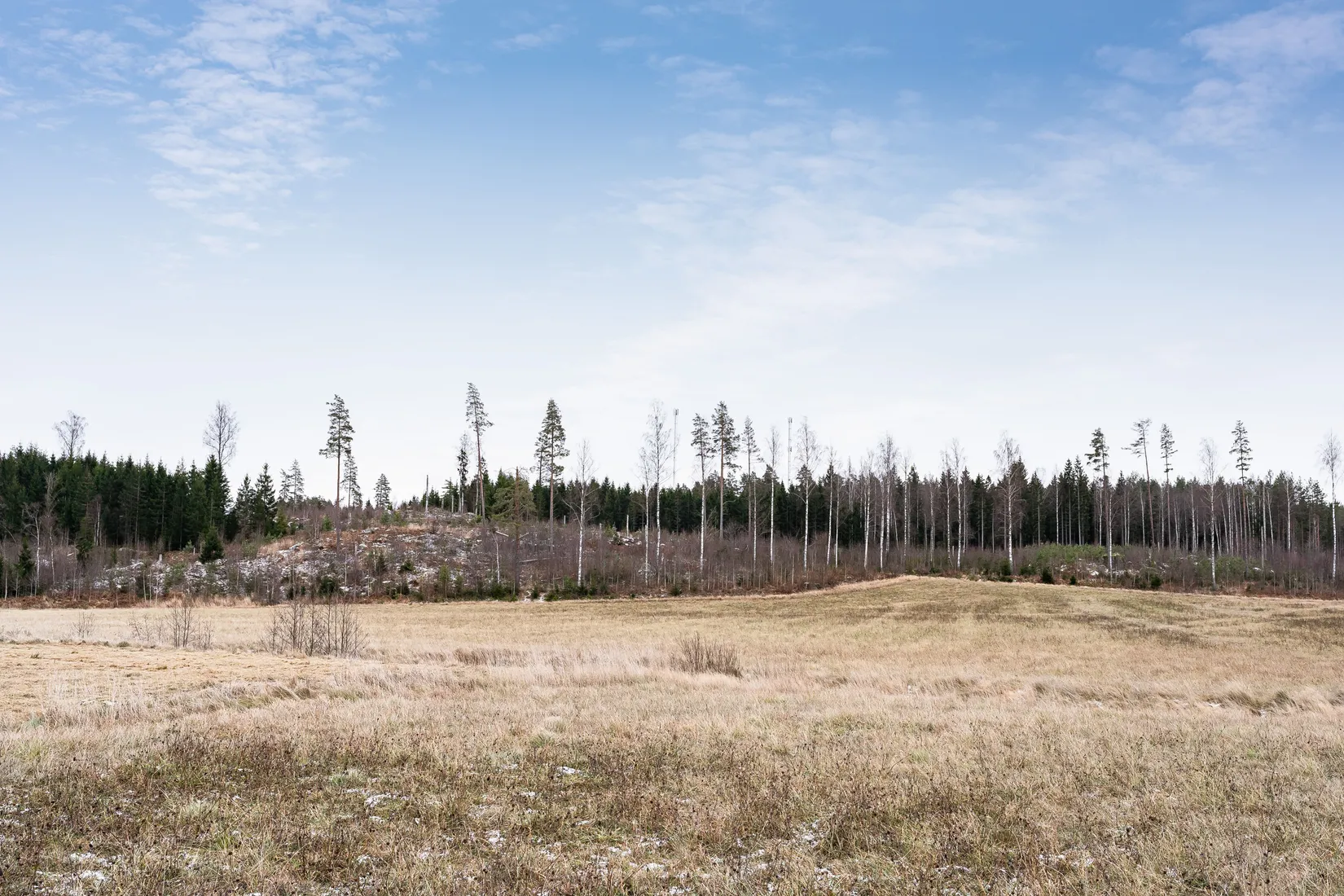 Gård/Skog, Torsbo 1, Bie, Katrineholm