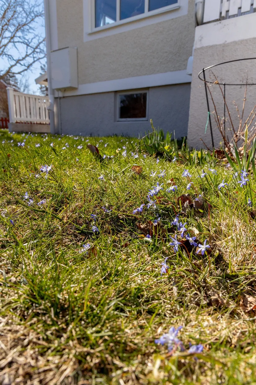 Villa, Nordenskjöldsvägen 4, Fårbo, Oskarshamn