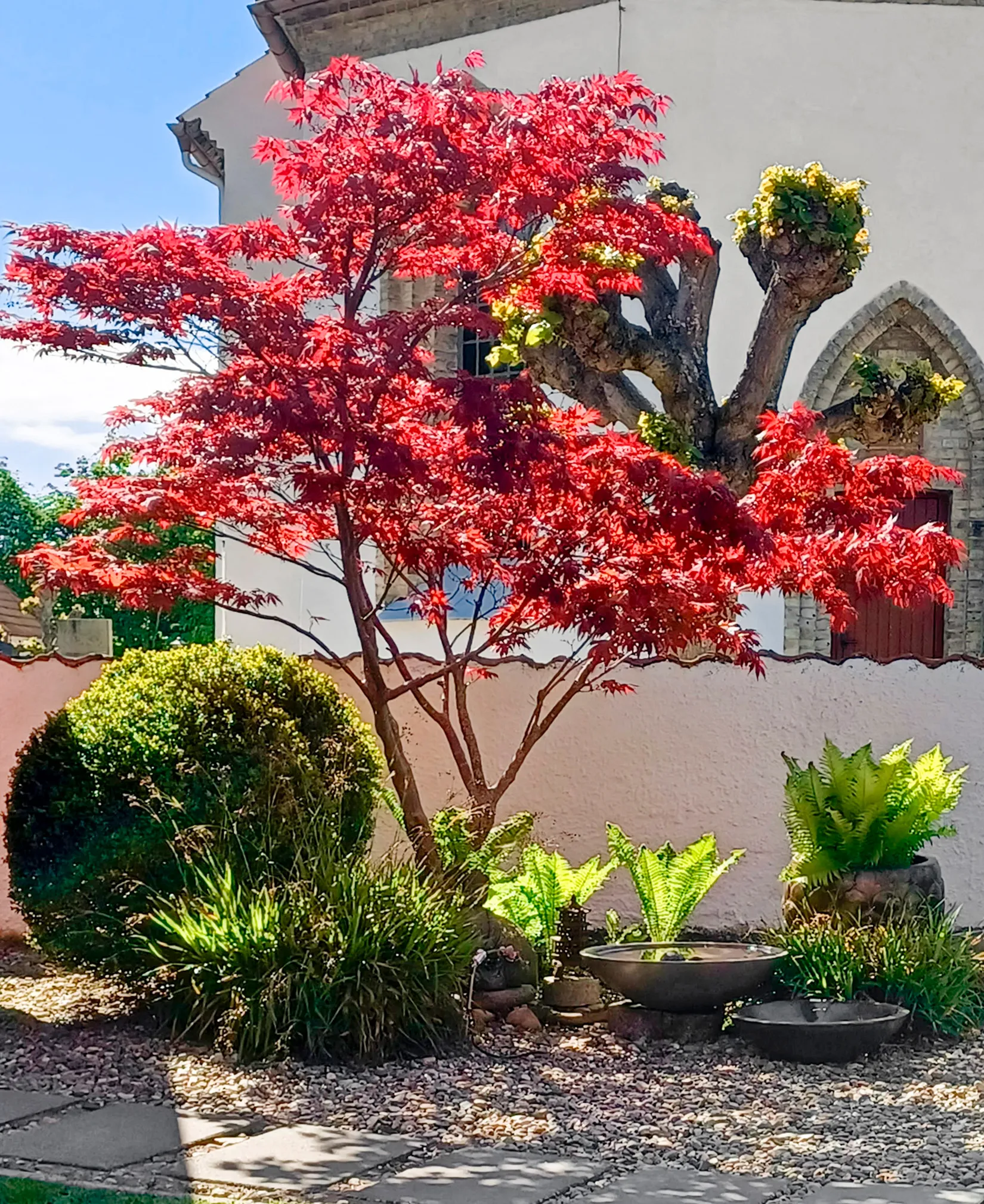 Villa, Ryttaregatan 10, Eskilstorp kyrkby, Vellinge