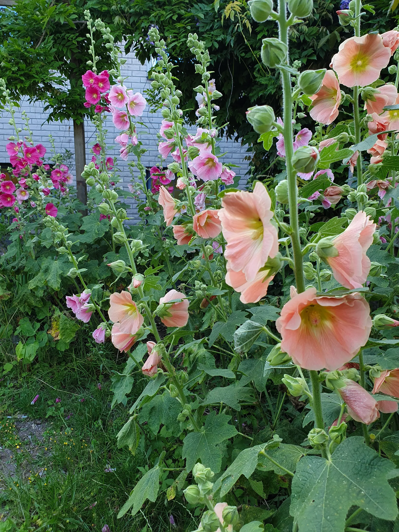 Villa, Ringvägen 35, Centralt, Bromölla