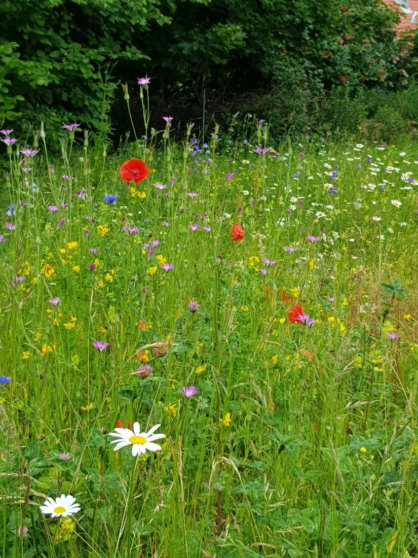 Villa, Ringvägen 35, Centralt, Bromölla