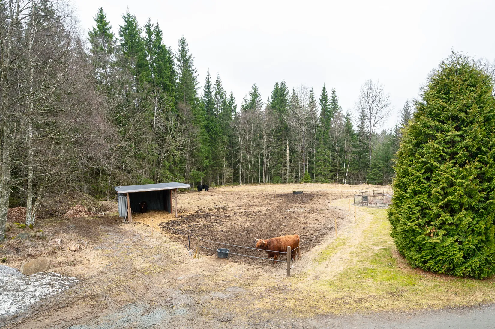Gård/Skog, Hillared 202, Ulricehamn