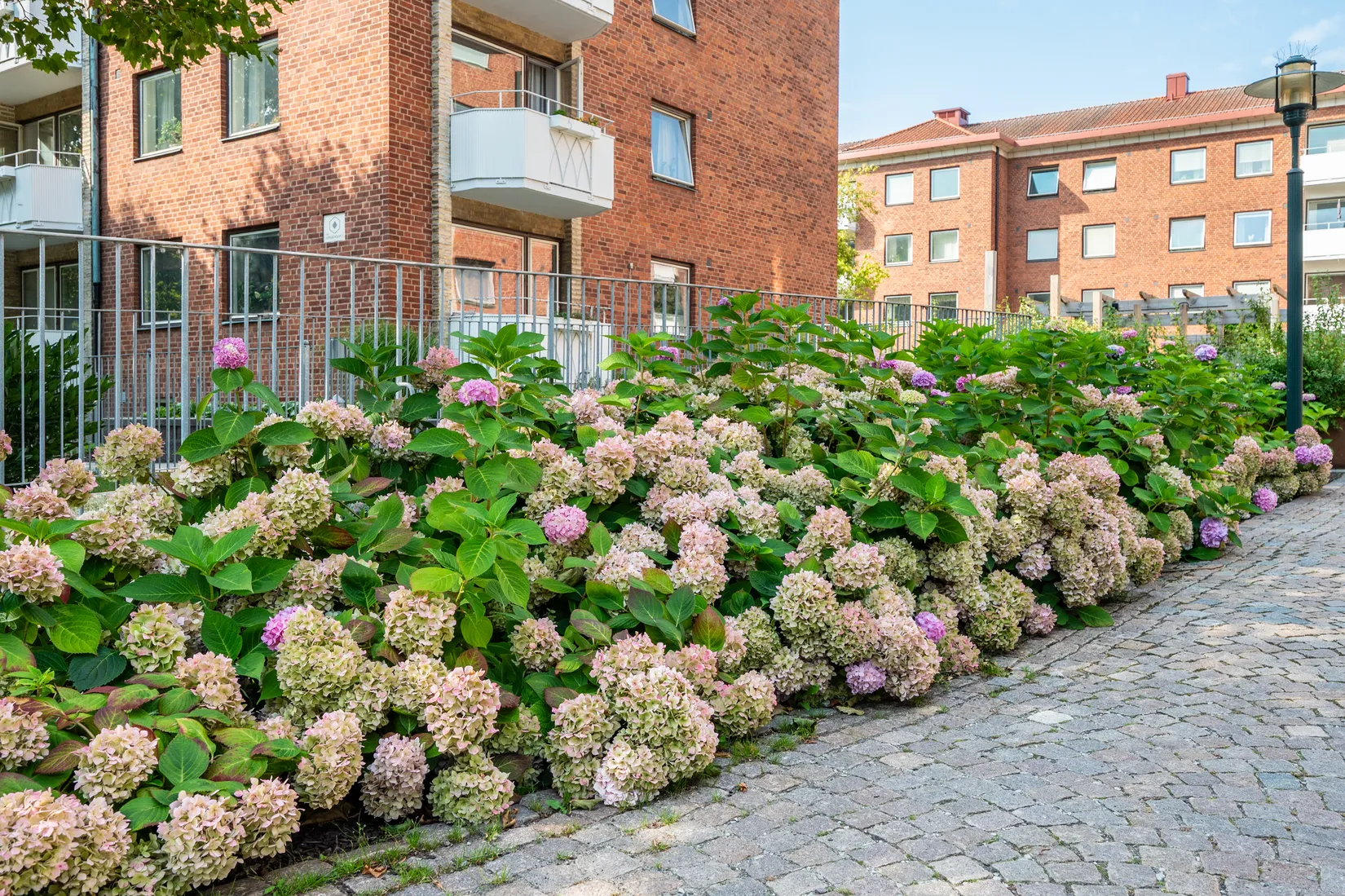 Bostadsrätt, Tessins väg 14, Ribersborg, Malmö