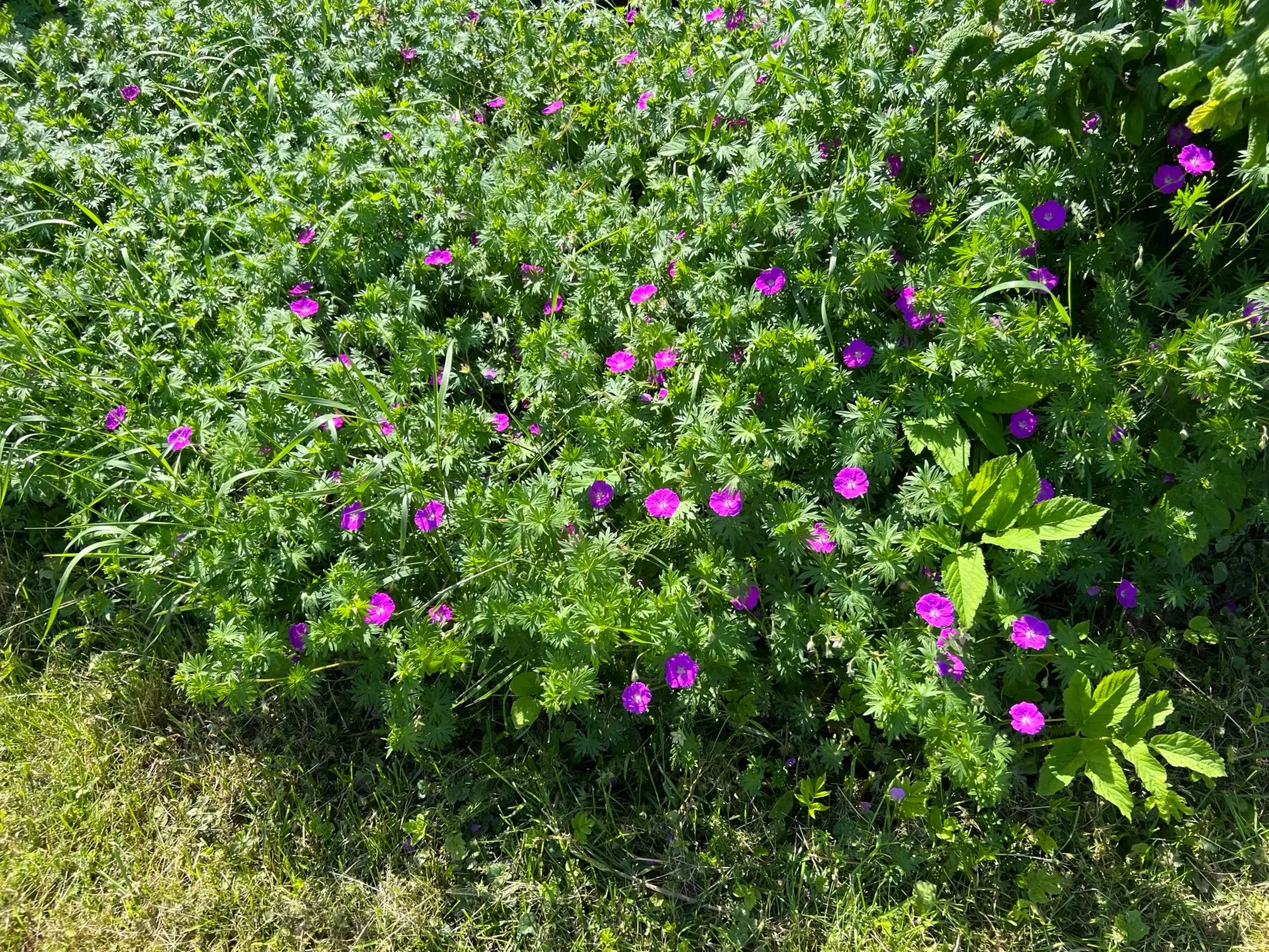 Villa, Sånne 405, Asker, Örebro