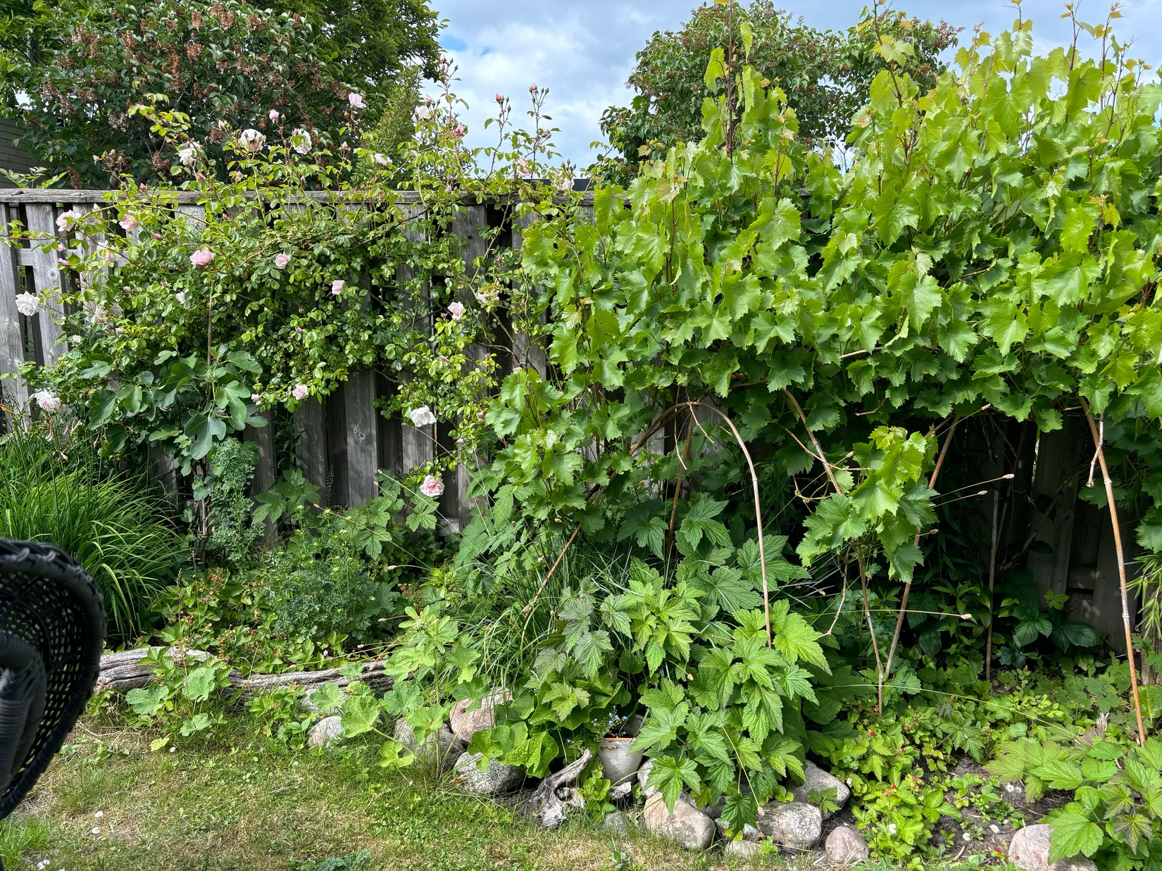 Villa, Radhus, Styrbjörn starkes gränd 13, Linero, Lund