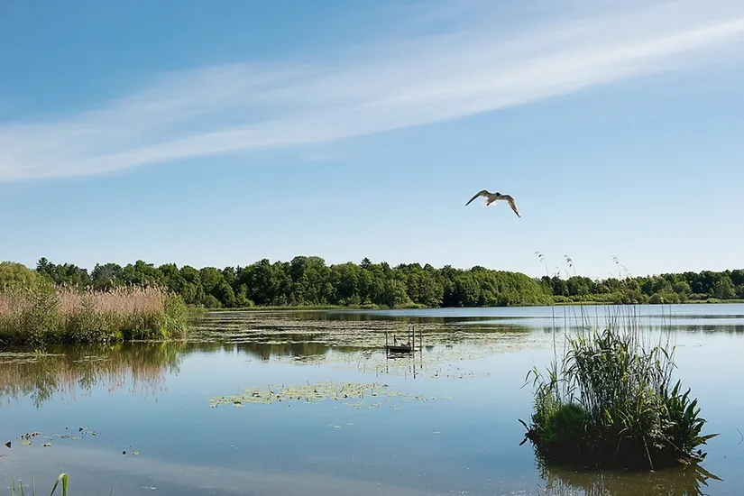Bostadsrätt, Virebergsvägen 11, Vireberg, Råsunda, Solna