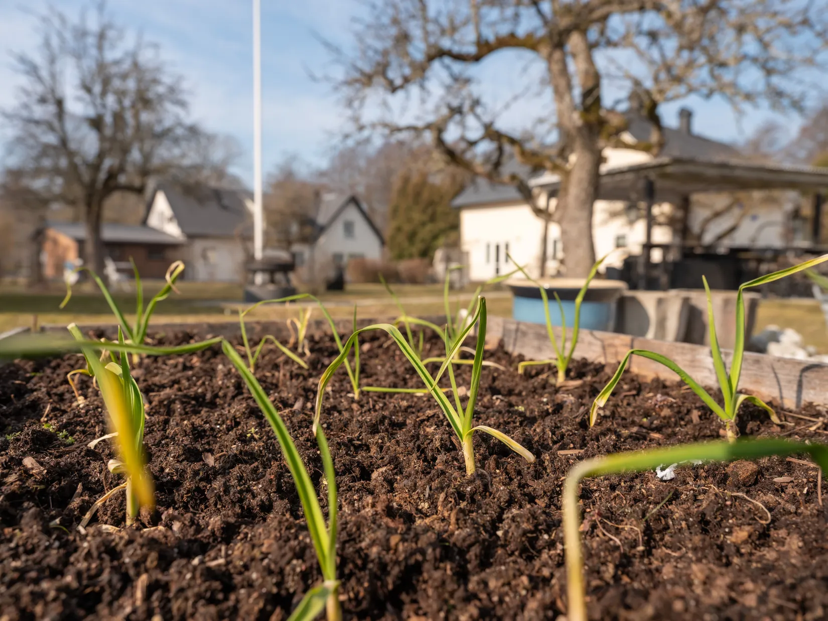 Villa, Tingstädevägen 42, Tingstäde, Gotland