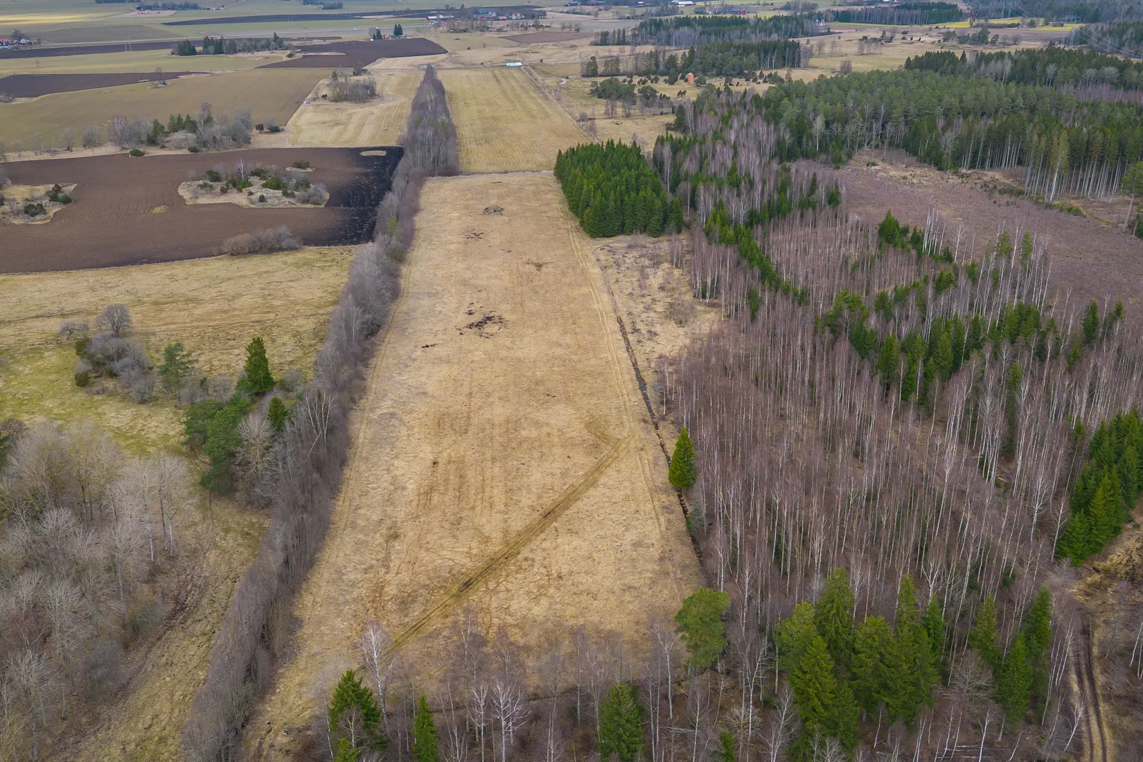 Gård/Skog, Lilla Blackstad 1, Väderstad, Mjölby