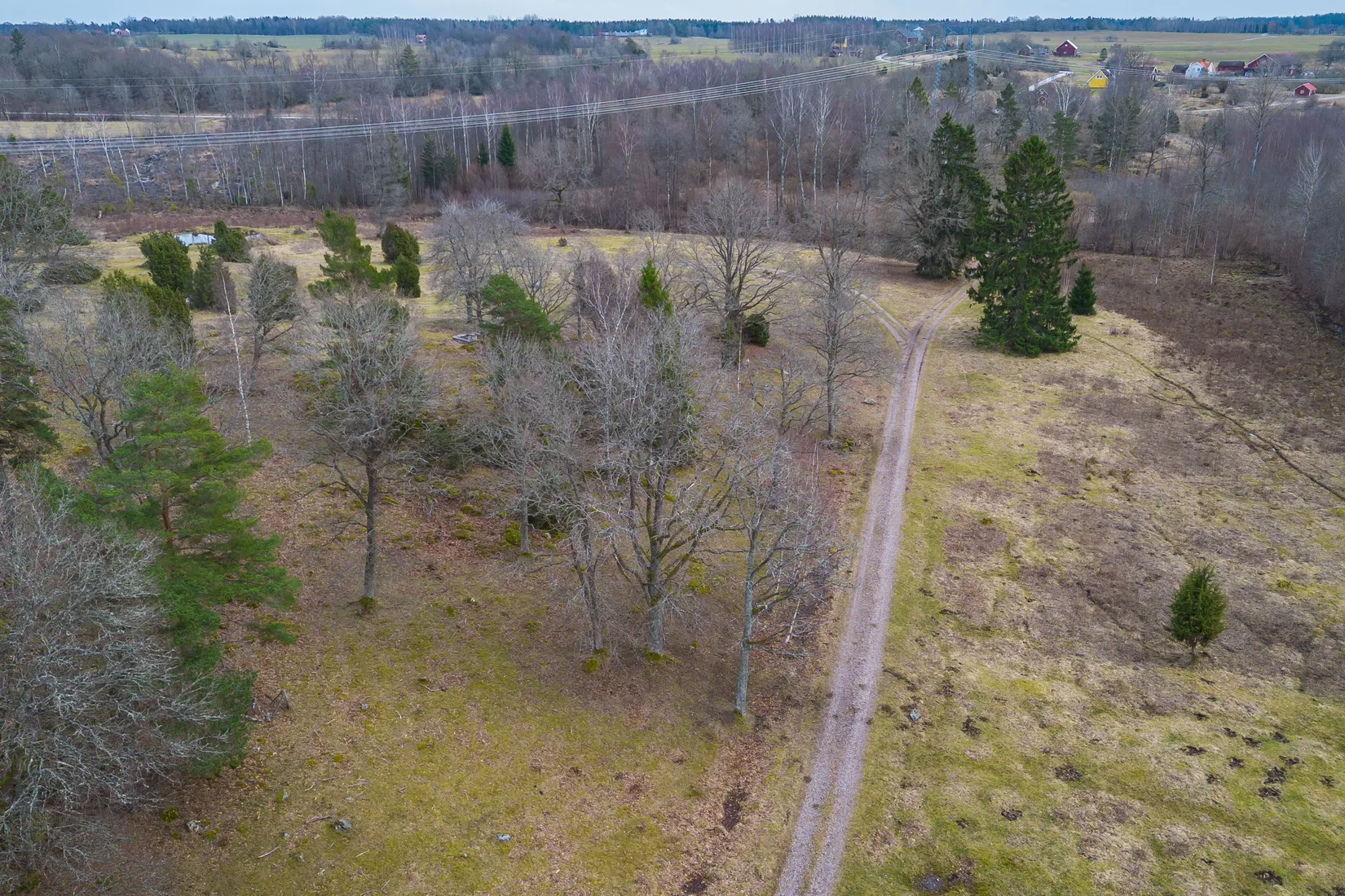 Gård/Skog, Lilla Blackstad 1, Väderstad, Mjölby