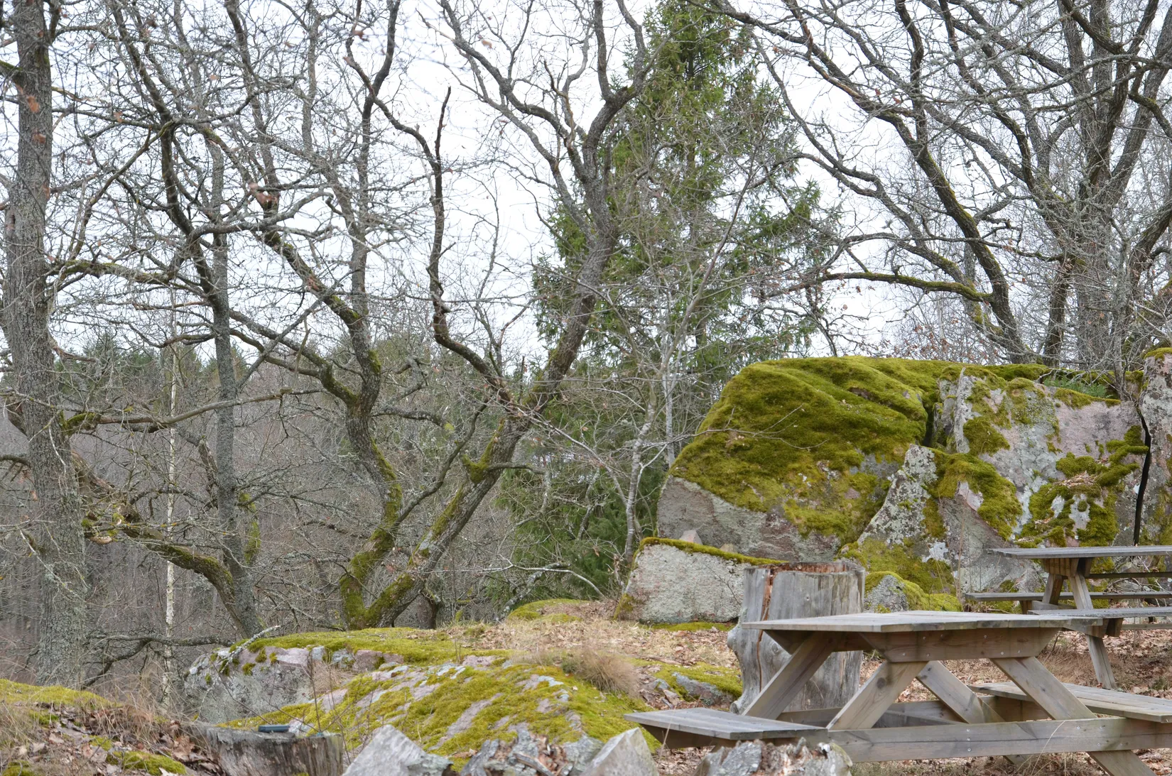 Gård/Skog, Lilla Blackstad 1, Väderstad, Mjölby