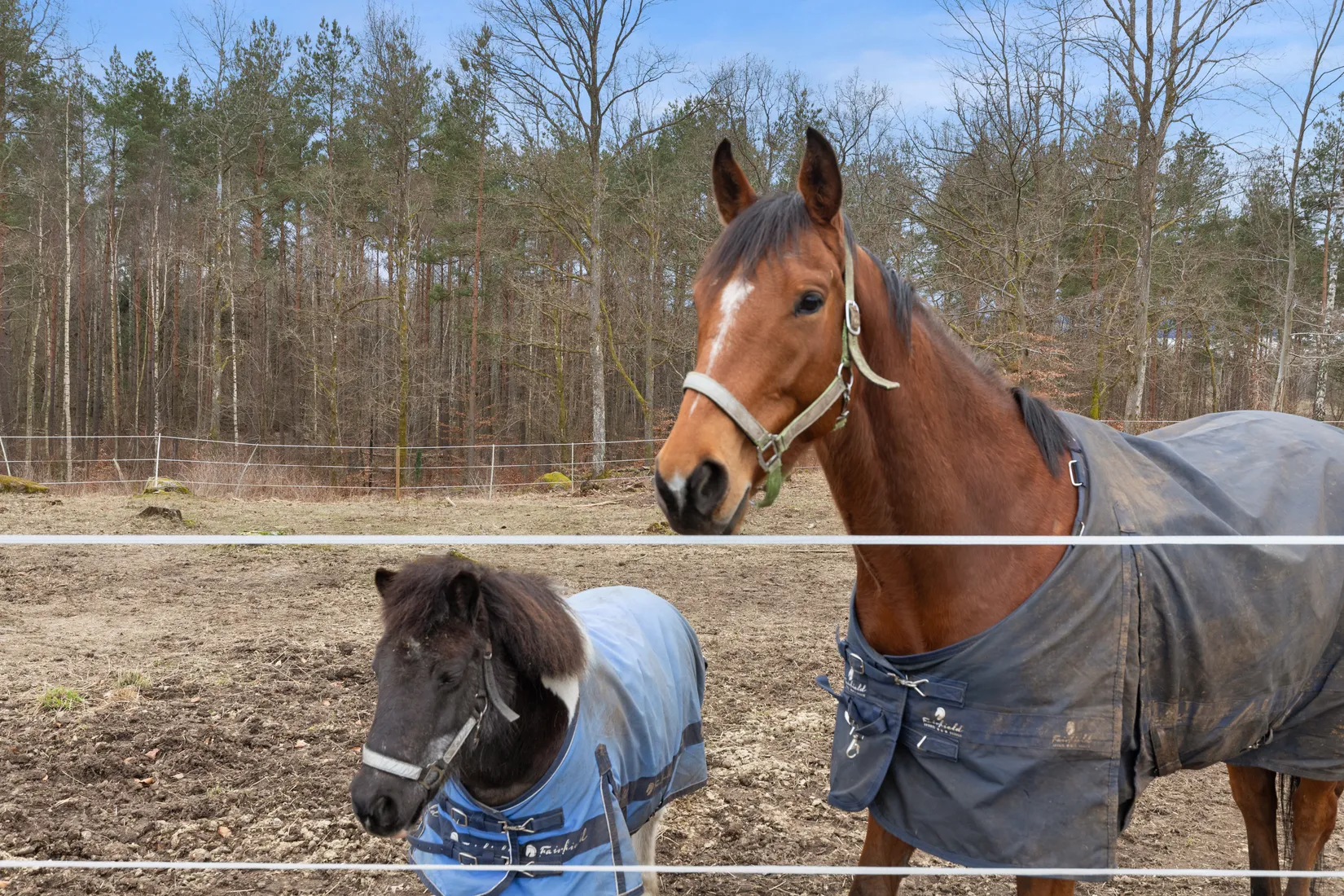 Gård/Skog, Hokavägen 121-0, Asarum, Karlshamn