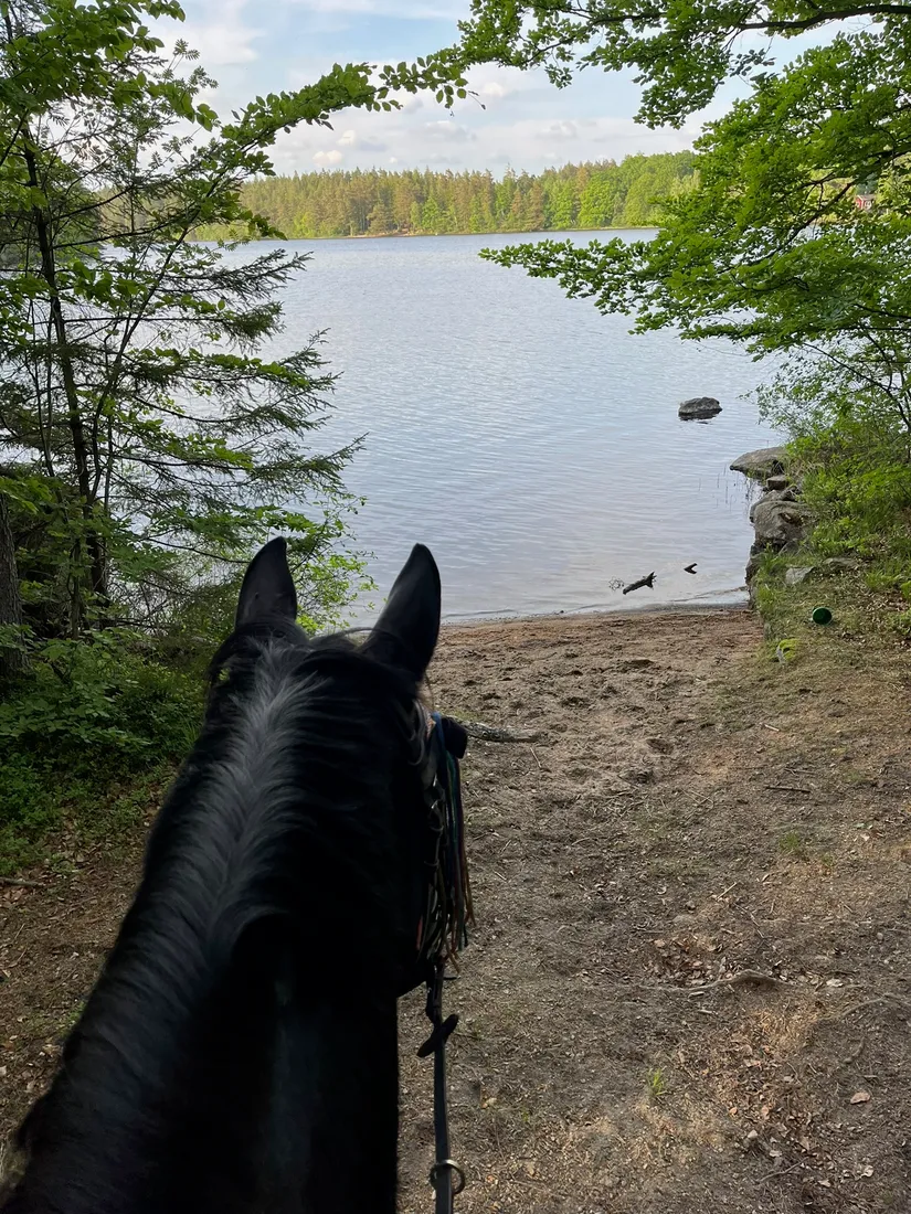 Gård/Skog, Hokavägen 121-0, Asarum, Karlshamn