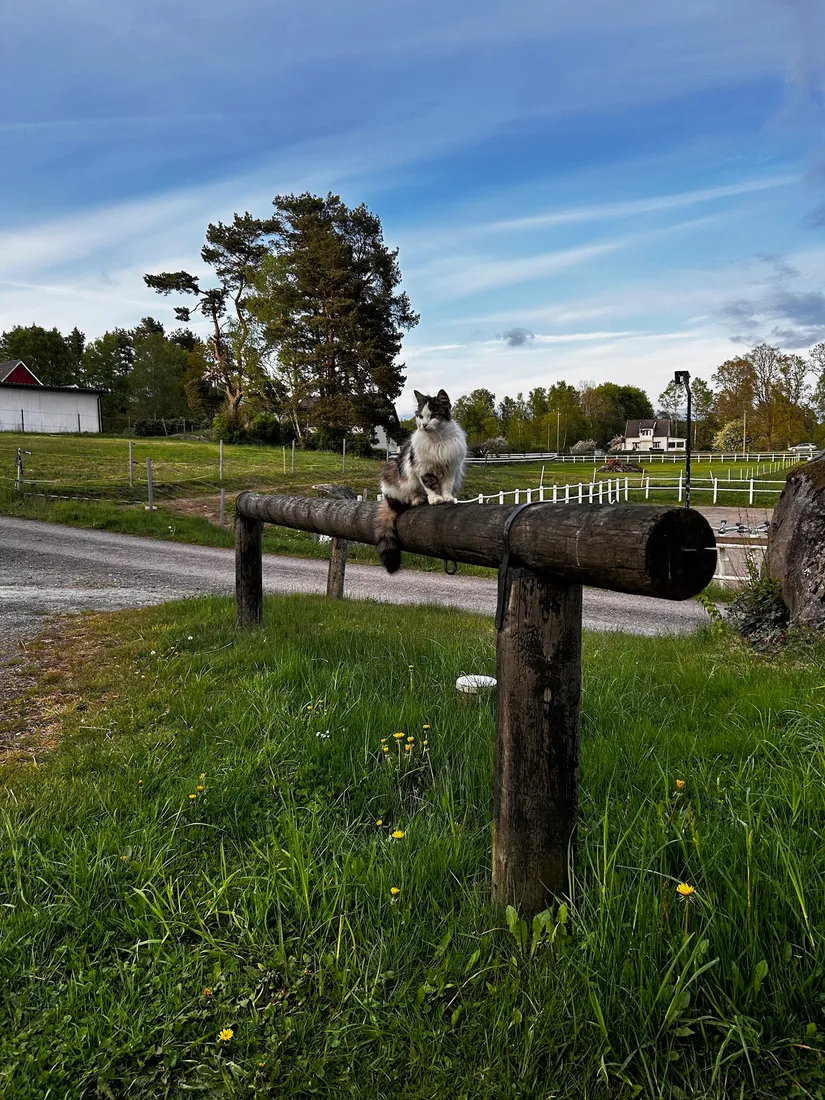 Gård/Skog, Hokavägen 121-0, Asarum, Karlshamn