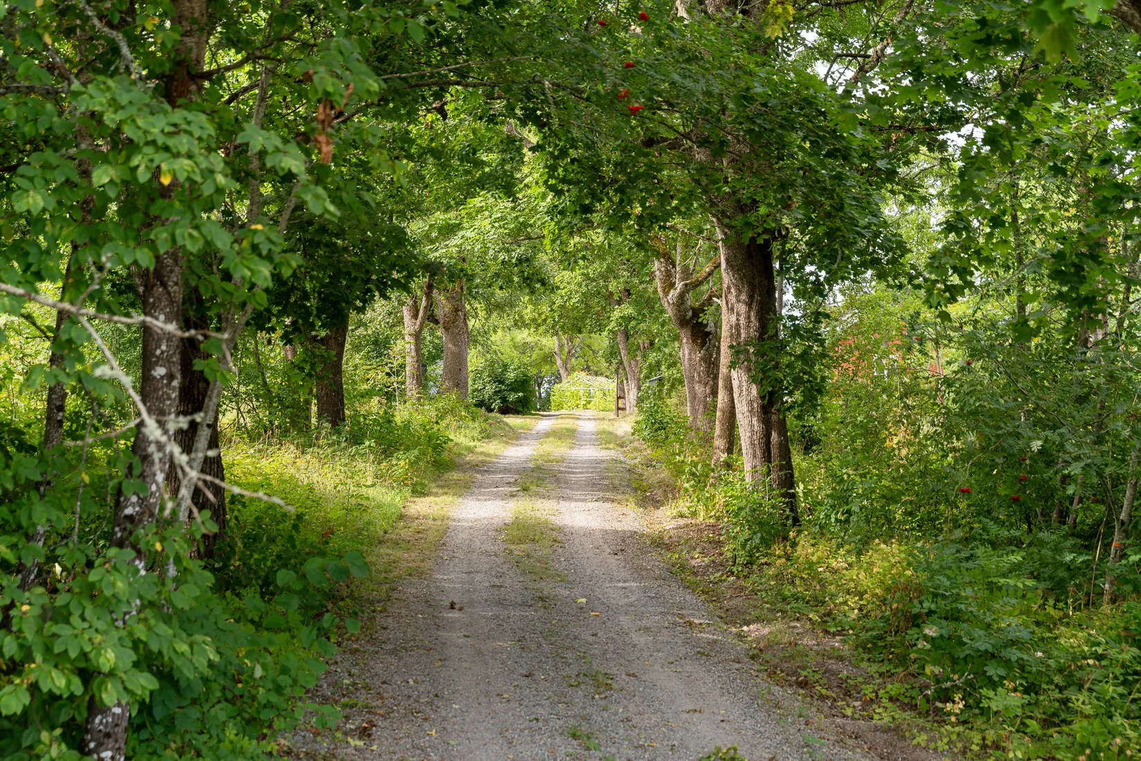 Villa, Gryttby 243, Vendel, Tierp