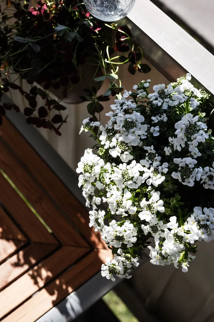 Bostadsrätt, Nygränd 16B, Centralt, Oskarshamn