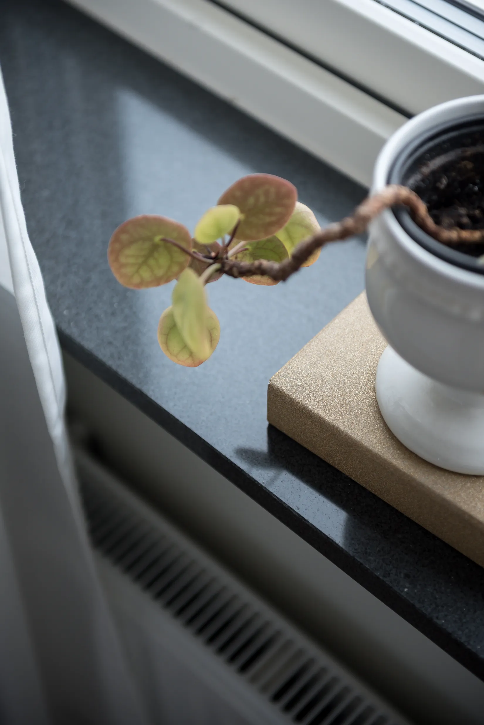 Bostadsrätt, Radhus, Gärdesvägen 1E, Bålsta Väppeby Äng, Håbo