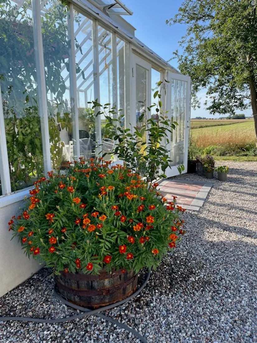 Villa, Blågransvägen 21, Beddingestrand, Trelleborg
