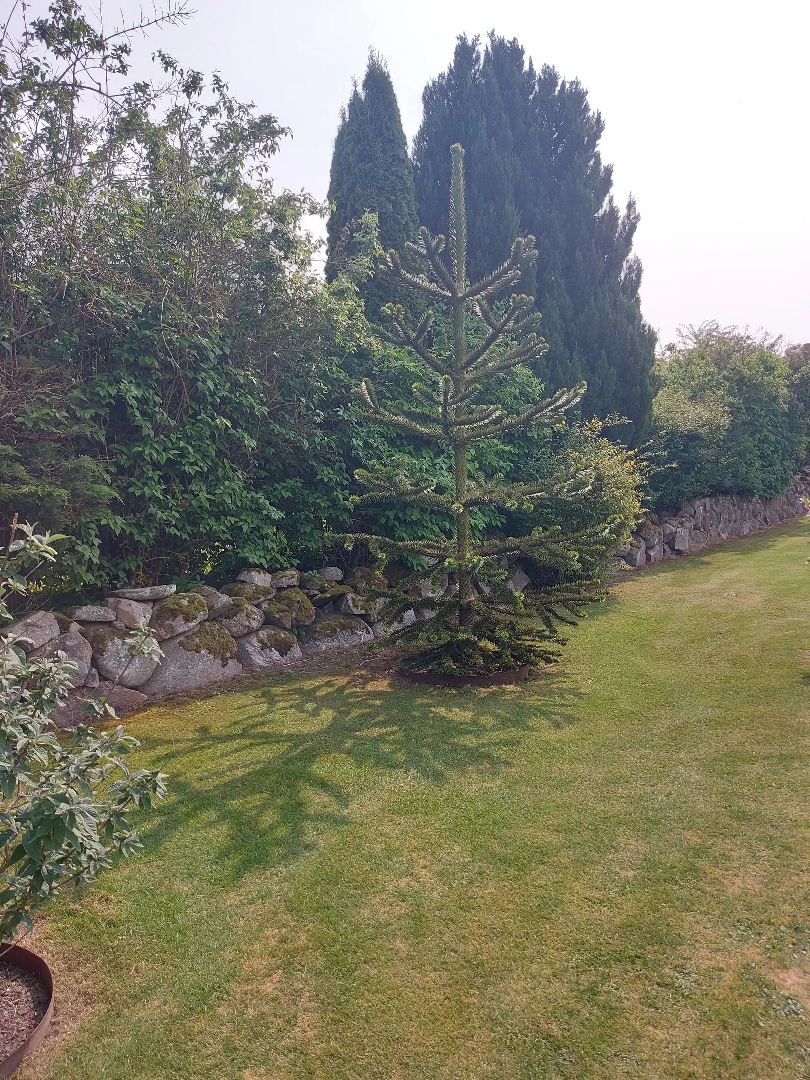 Villa, Axel Nils strädde 1, Södra Mellby, Simrishamn