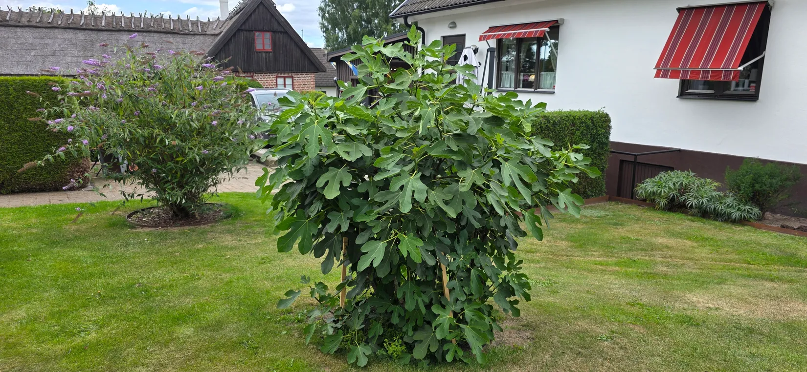 Villa, Axel Nils strädde 1, Södra Mellby, Simrishamn