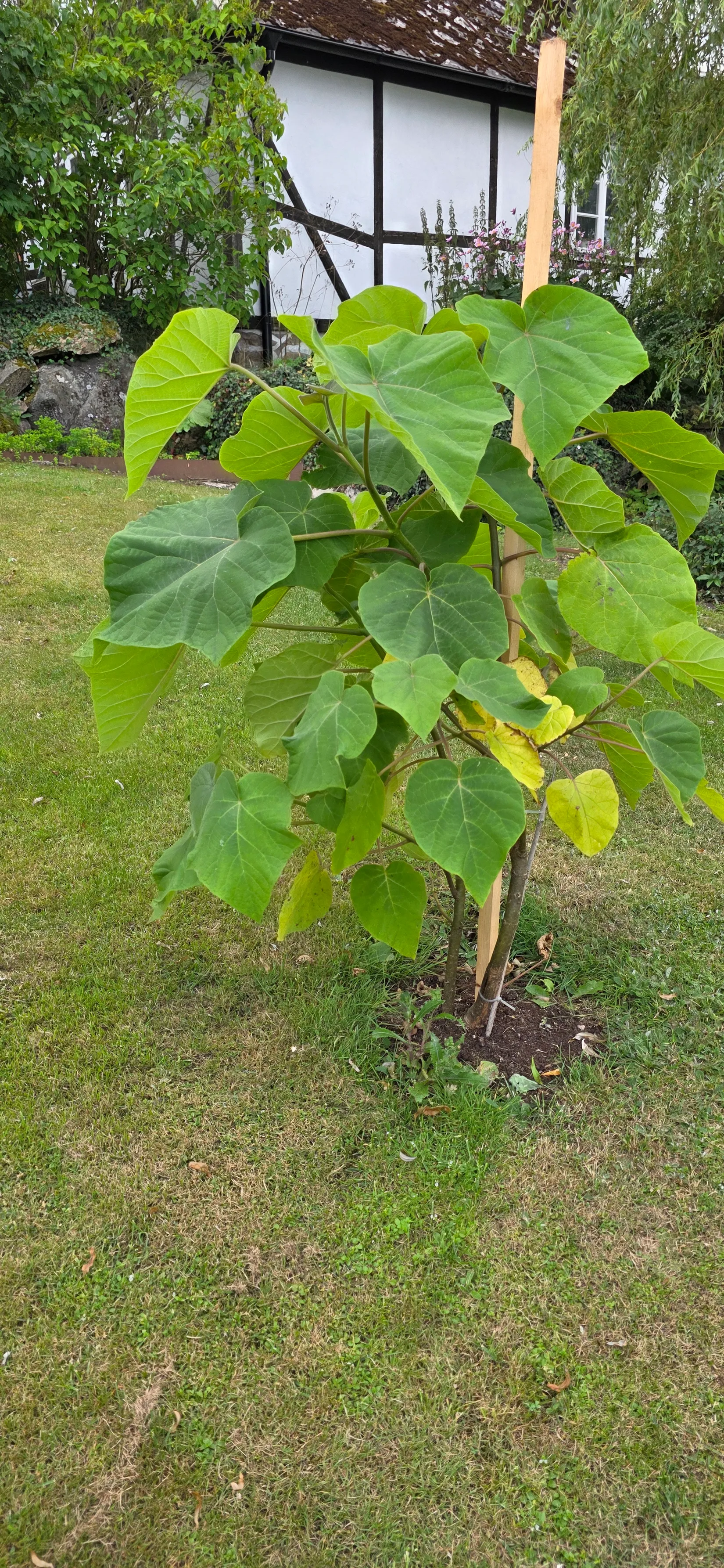 Villa, Axel Nils strädde 1, Södra Mellby, Simrishamn