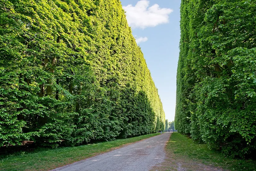 Bostadsrätt, Almbacksgatan 2C, Triangeln, Malmö