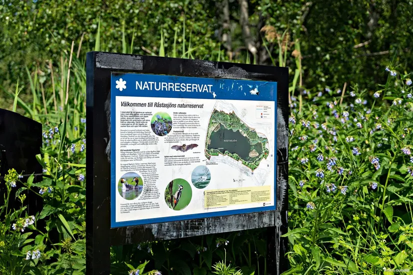 Bostadsrätt, Evenemangsgatan 34, vån 19 av 22, Arenastaden, Solna