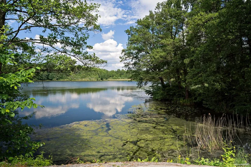 Bostadsrätt, Evenemangsgatan 34, vån 19 av 22, Arenastaden, Solna