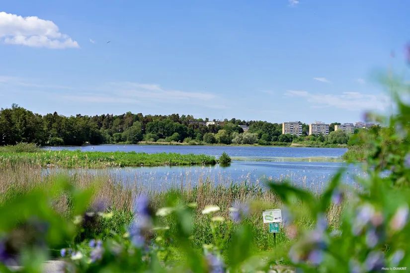 Bostadsrätt, Evenemangsgatan 34, vån 19 av 22, Arenastaden, Solna