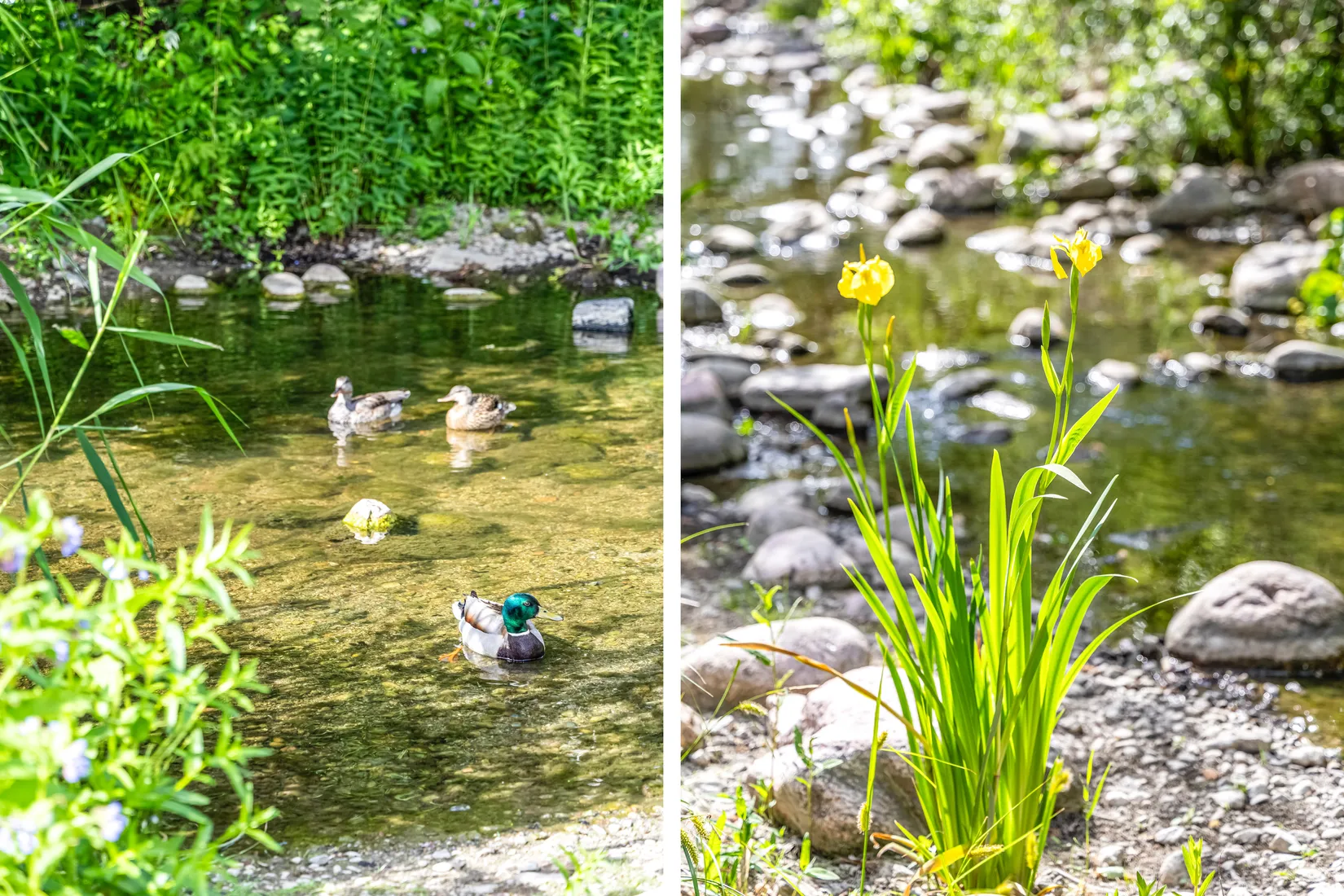 Bostadsrätt, Evenemangsgatan 34, vån 19 av 22, Arenastaden, Solna