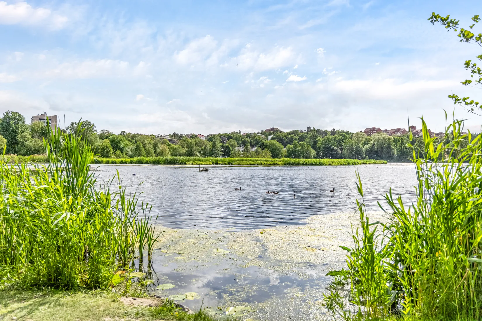 Bostadsrätt, Evenemangsgatan 34, vån 19 av 22, Arenastaden, Solna