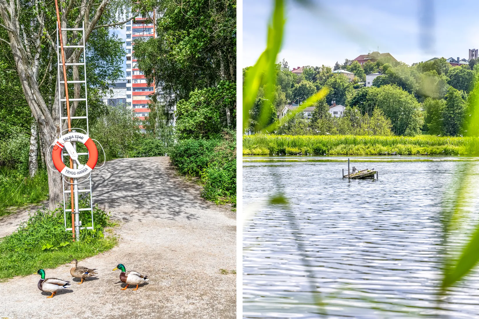 Bostadsrätt, Evenemangsgatan 34, vån 19 av 22, Arenastaden, Solna