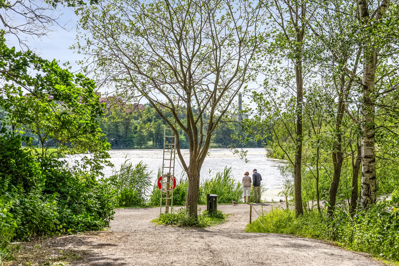 Bostadsrätt, Evenemangsgatan 34, vån 19 av 22, Arenastaden, Solna