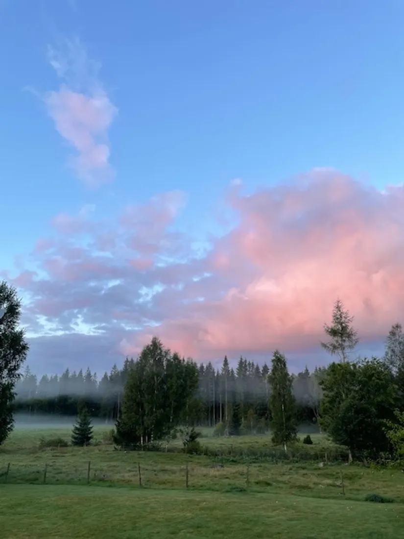 Villa, Össjö Åderbacken 1, Össjö, Ljungby