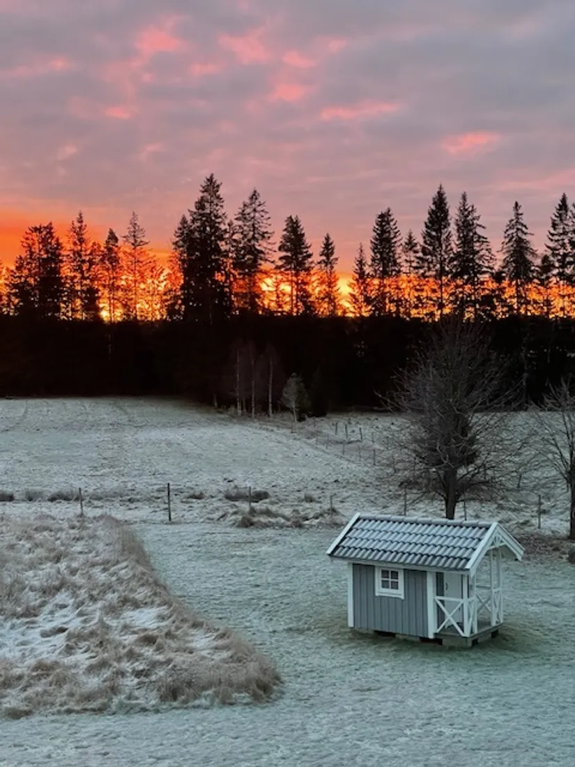 Villa, Össjö Åderbacken 1, Össjö, Ljungby