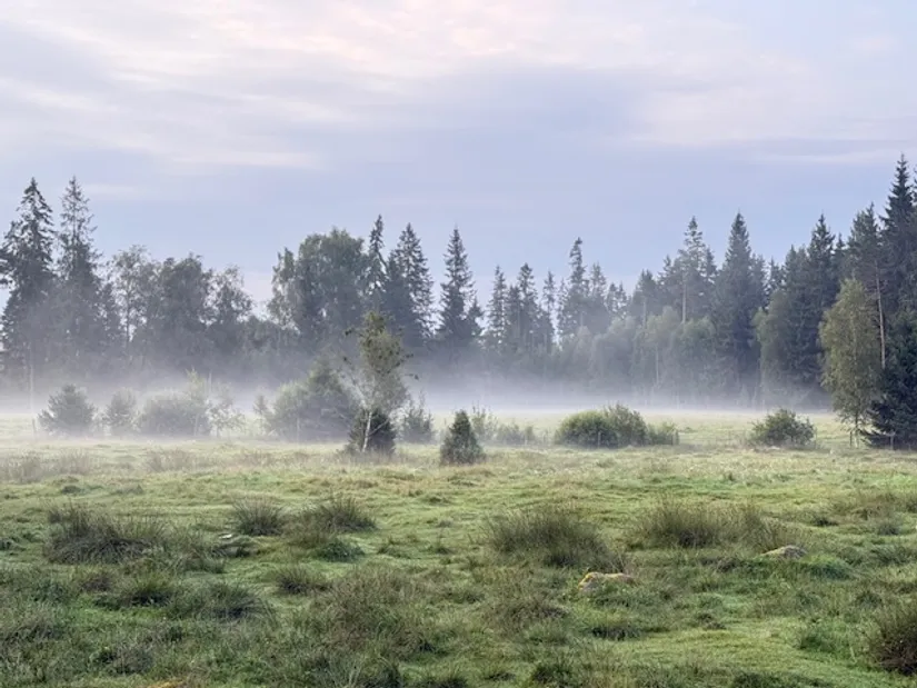 Villa, Össjö Åderbacken 1, Össjö, Ljungby
