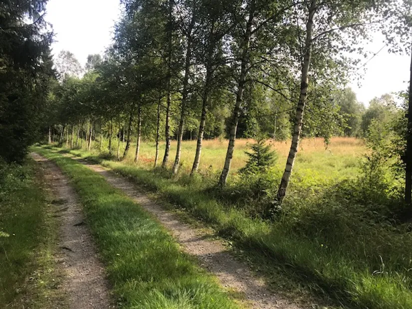 Villa, Össjö Åderbacken 1, Össjö, Ljungby