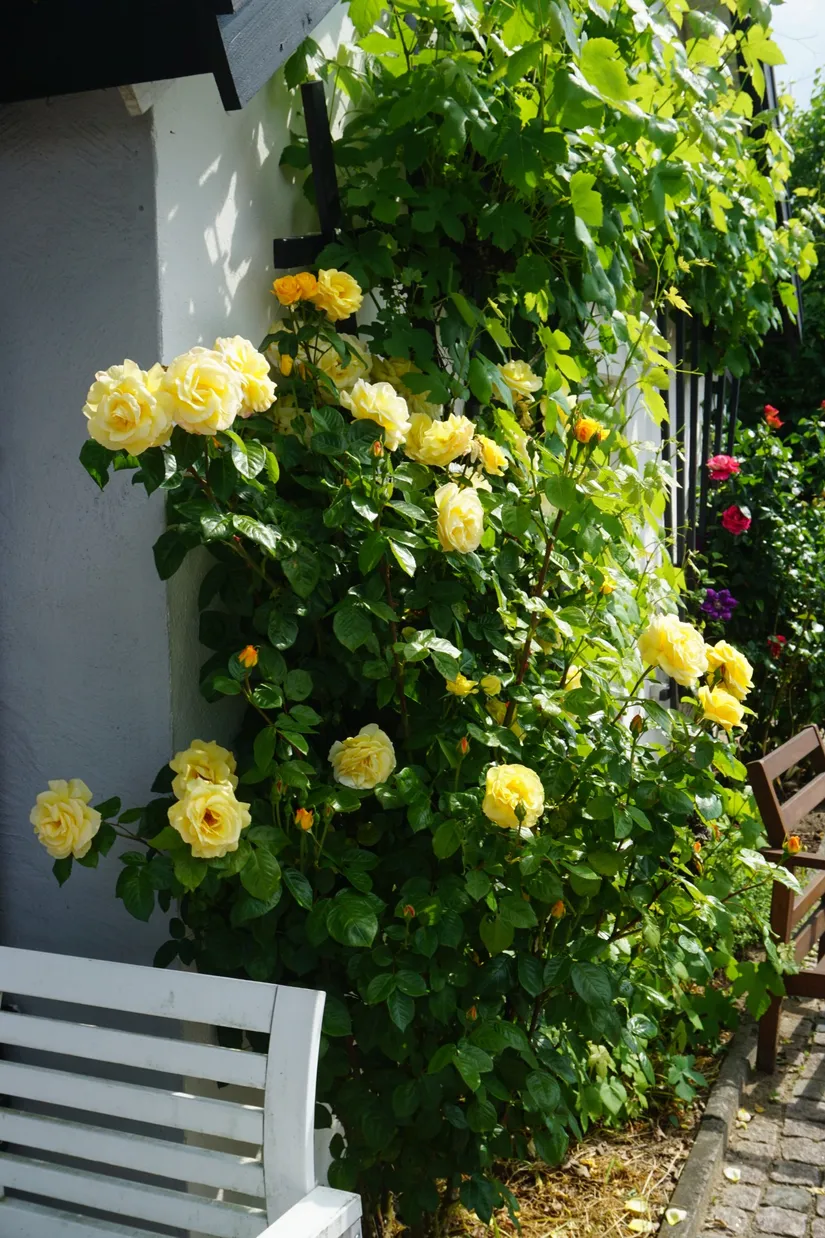 Villa, Västergatan 68, Sjöbo Centrum, Sjöbo