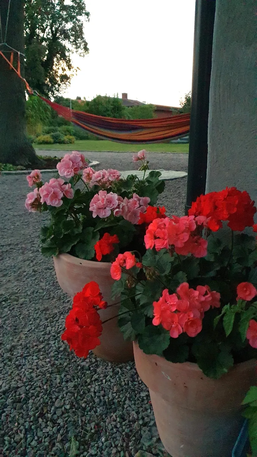 Villa, Västergatan 68, Sjöbo Centrum, Sjöbo