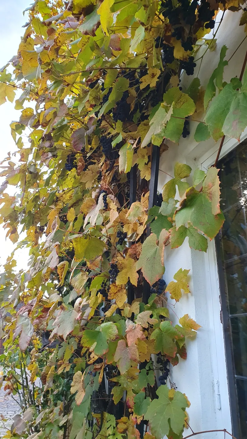 Villa, Västergatan 68, Sjöbo Centrum, Sjöbo