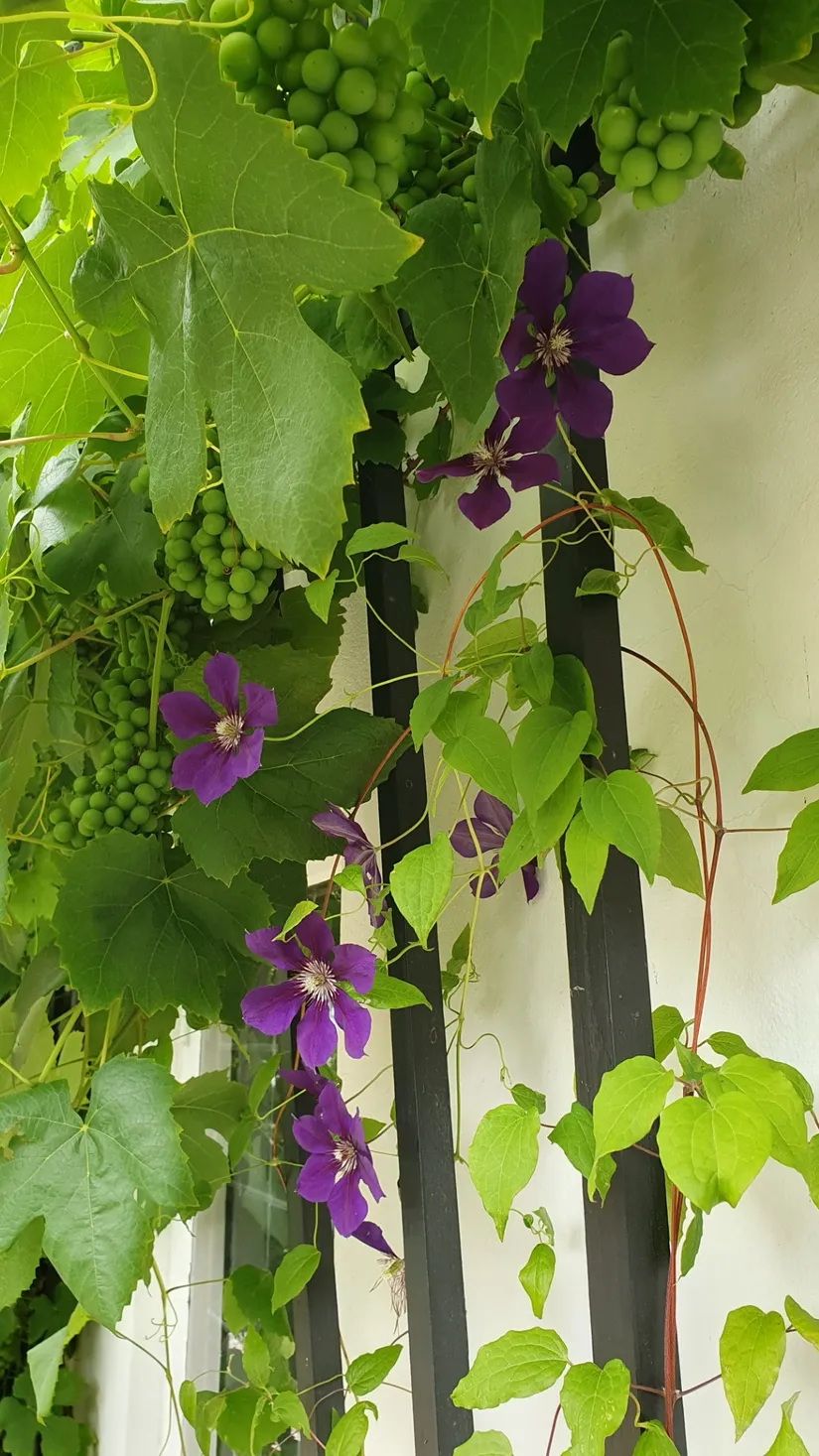 Villa, Västergatan 68, Sjöbo Centrum, Sjöbo