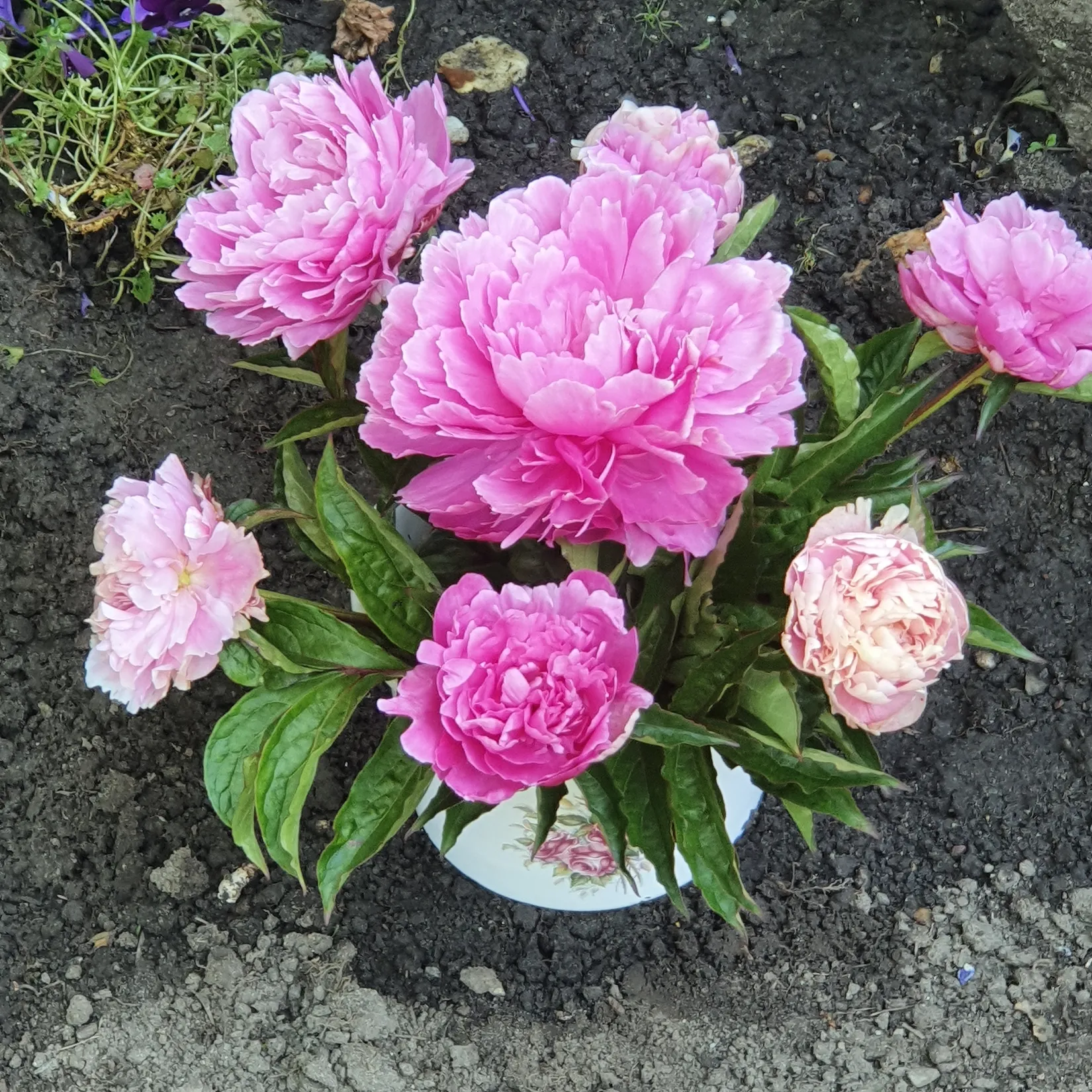 Villa, Backagatan 7, Borrby, Simrishamn