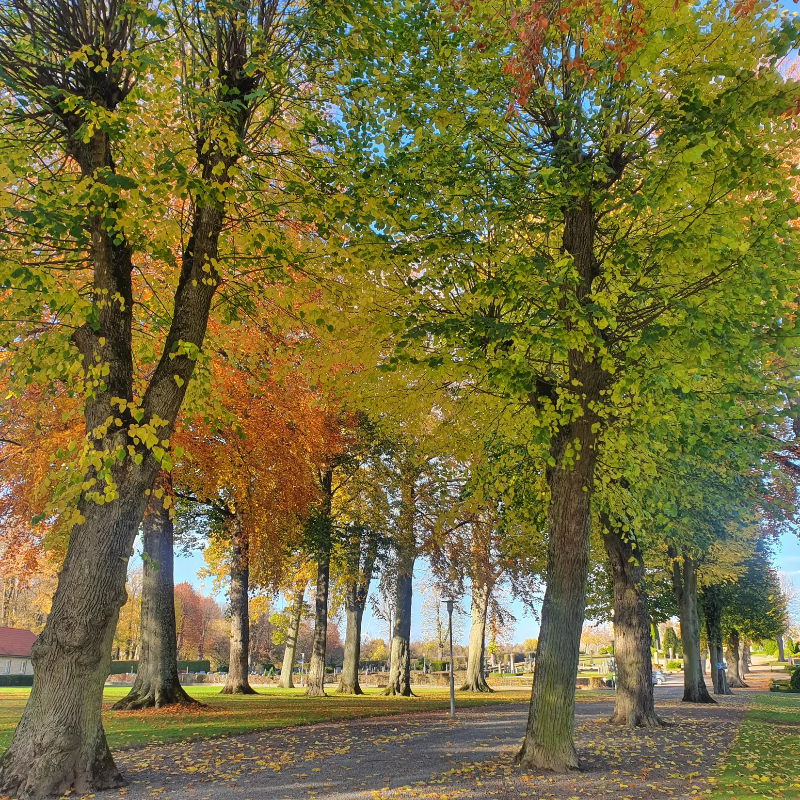 Villa, Backagatan 7, Borrby, Simrishamn