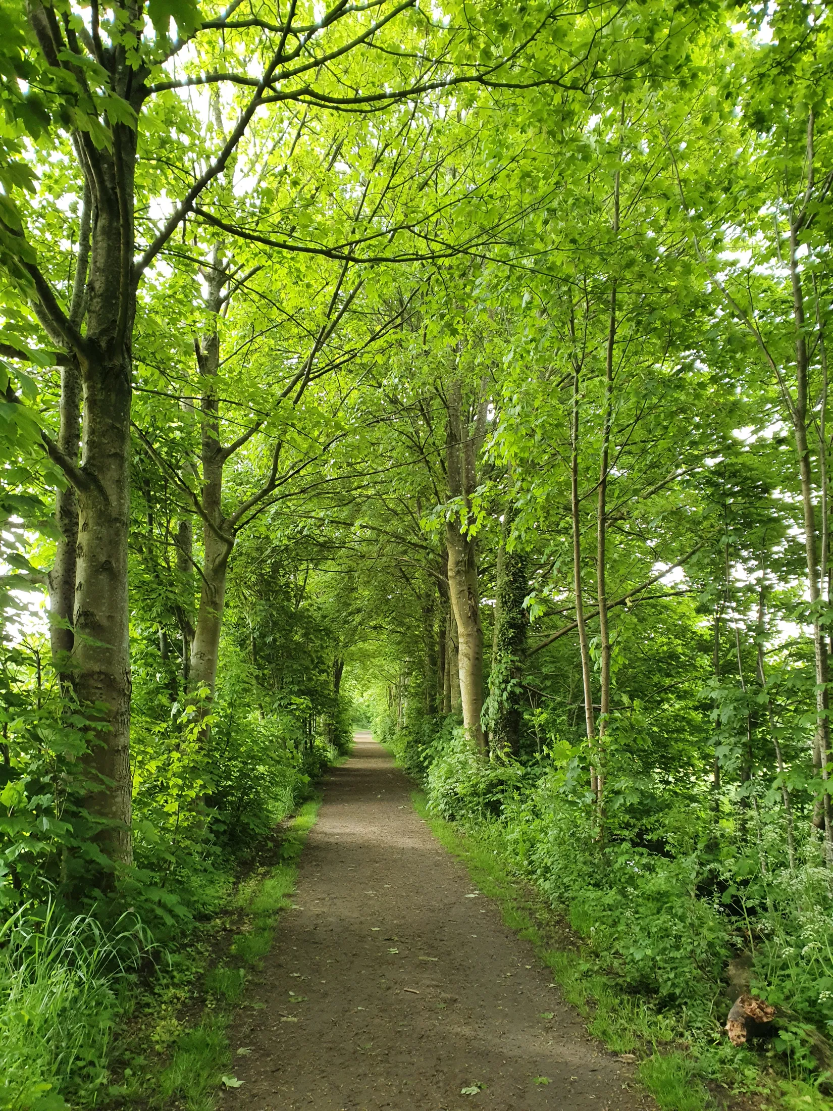 Villa, Backagatan 7, Borrby, Simrishamn