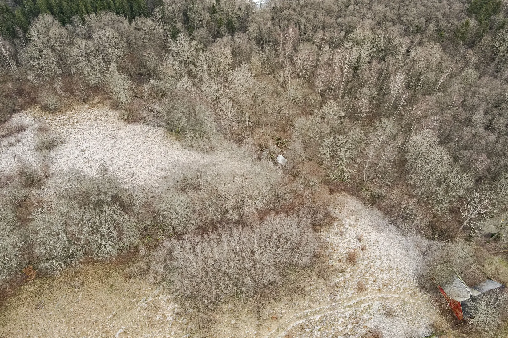 Gård/Skog, Hästveda, Hästveda, Hässleholm